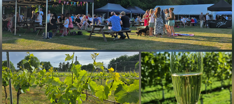 The Farrier - May Half Term in the Cotswolds 2026: Family Days Out & Events Larkhill