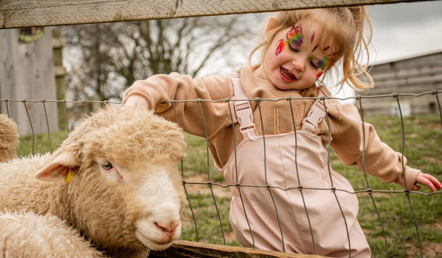 The Farrier - Wonderful Winchcombe Lambing and Easter Fun at Cotswold Farm Park